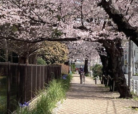 ビザ・海外渡航用★英文日程表の作成承ります 旅行業務なし・書類作成専門【ビザ・海外渡航用】 イメージ1
