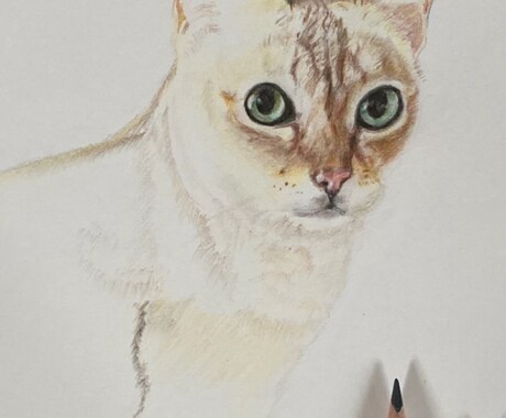 ペットや風景を絵や飾り額にします 見つめる瞬間こころ旅、、手描きだから伝わる想い。 イメージ2