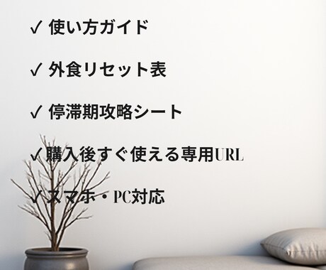 70点ダイエット継続キットをお渡しします 痩せ方ではなく、90日続ける仕組みを提供します イメージ1