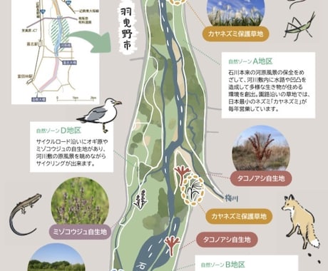 自然教室や森林学習向けのパンフレットを作成します イメージ1