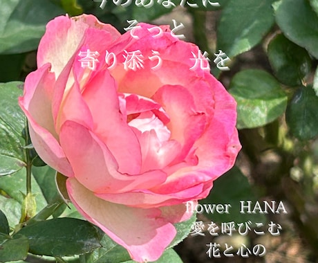 心ほどく恋愛・人生を優しく読み解きます 迷いで揺れる心にそっと灯りを灯す鑑定です イメージ1
