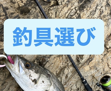 シーバスフィッシング初めての釣具選びます イメージ1