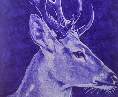 ボールペンで写真のような超写実イラスト描きます 細密描写でリアルな作品を制作します イメージ2