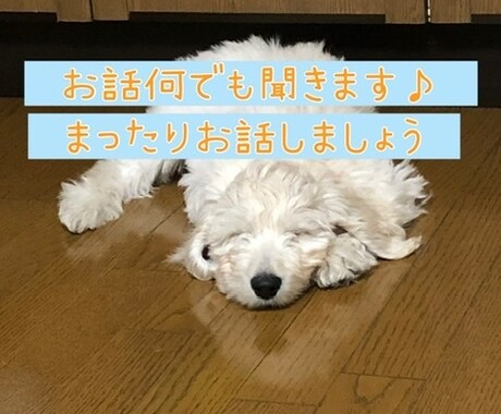 5分だけでも！あなたのお話聞きます 爽やか系イイ声でお話させていただきます⭐️ イメージ1