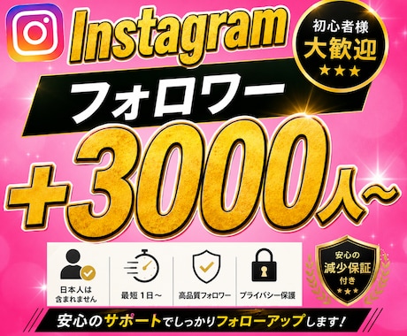 Instagramフォロワー＋3000人増やします イメージ1