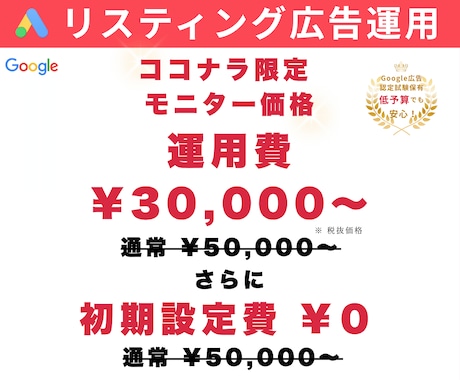 低予算から安心して始められる広告運用を支援します 明確な分析と改善で低コストでも成果を追求する広告運用 イメージ1