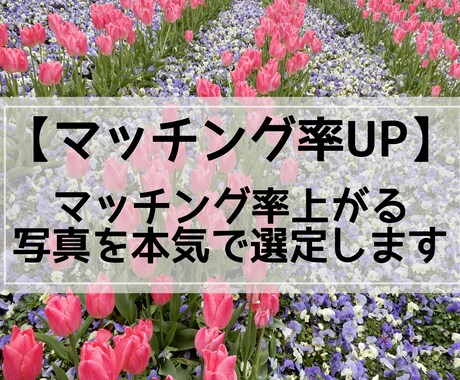 マッチング率上がる写真を選定します モブ集団なんかに埋もれない!パッと一瞬で目を引く写真選び イメージ1