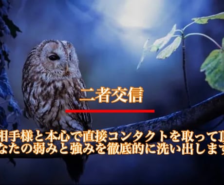 二者交信＠想い人と直接会話をして頂き好転に繋げます 本心で話したい方／接点数を補填したい方／不和に悩む方の親睦術 イメージ1