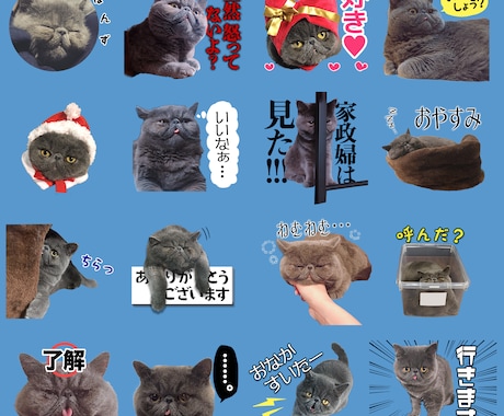 お子さん、ペットの写真等でLINEスタンプ作ります 月齢祝いや記念日にも◎非公開にすれば家族だけで楽しめます★ イメージ2