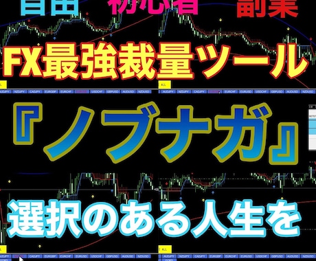 高性能‼️FX最高峰ツールノブナガを公開します FXプロトレーダーがこれまで隠してきたFX最高峰ツール‼️