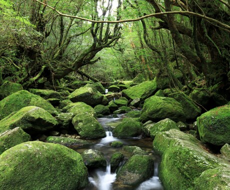 看護師があなたの心の辛さに寄り添い看護します 現役看護師(精神科)の立場から、お心を救えるよう導きます。 イメージ2