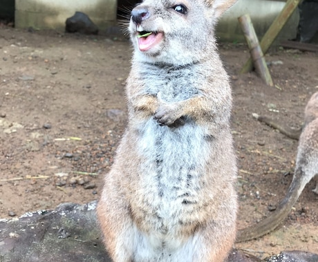 執筆代行！承ります 企業様宛のお手紙や、サンクスカードなど代筆いたします。 イメージ1