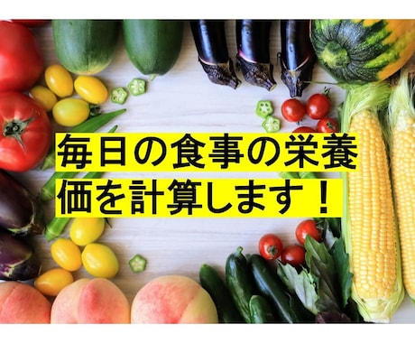 普段の食事の栄養計算をします 食事バランスを整えて、毎日元気に過ごそう！ イメージ1