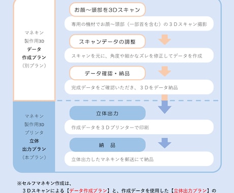 あなたのお顔のマネキン（顔～頭部）製作いたします 頭部３Ｄスキャン＆３Ｄプリンタ出力でマネキンをお作りします！ イメージ2