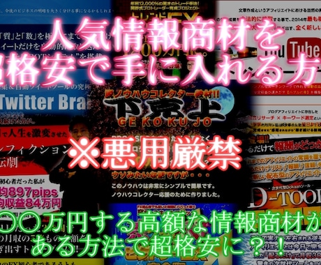 誰でも大量のノウハウを手に入れる方法を教えます もうこれ以上お金を無駄にしたくない方・副業で稼ぎたい方へ イメージ1