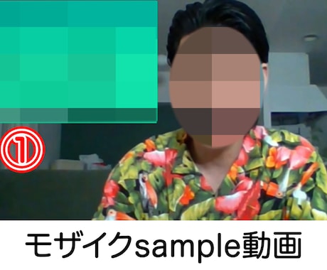 モザイク（顔・声・音）加工/ぼかし処理/承ります 当日納品も可能です！スピード納品が自慢！長い動画でも対応可能 イメージ1