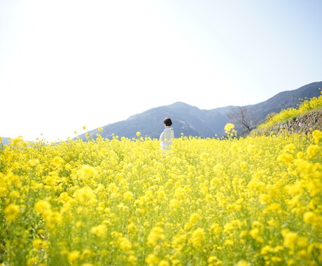 出張撮影します 関東どこでもフッ軽撮影行ってきます！ イメージ2