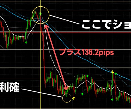 専業FXトレーダーが使用する秘密の手法を教えます 相場にビビる必要一切なし！正攻法を伝授してあなたを勝ち組に！ イメージ2