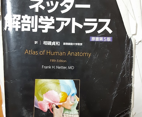 解剖学の勉強教えます 解剖学をしっかりわかりやすく説明します イメージ1