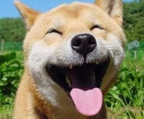 サクッと10分！悩み★相談★にのります 今すぐ話を聞いてほしいけど話す人がいない…という方へ イメージ2