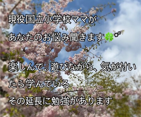 シングル国立小学校ママが幼児教育相談いたします 主に幼児期〜低学年　お金をかけずに知的好奇心を伸ばしましょう イメージ2