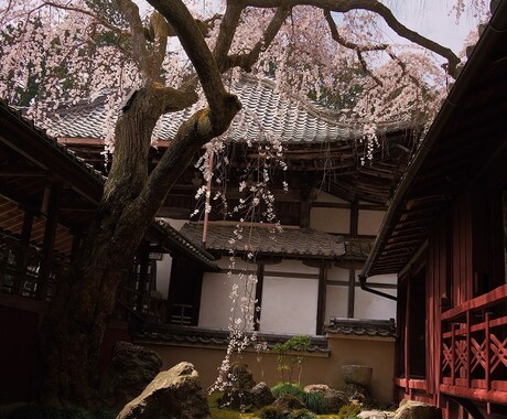 京都旅行のプランを考えます 京都旅行のオリジナルプランを考えます！ イメージ1
