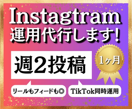 週2回投稿！30日間SNS運用代行します 動画投稿＋TikTok同時運営で効果的に拡散させます！ イメージ1