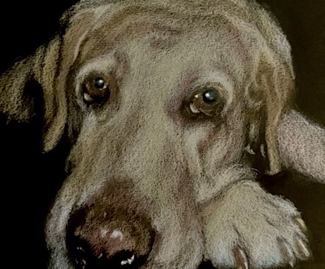 黒紙に色鉛筆でリアルな絵を描きます 他にはない黒紙に色鉛筆でリアルな質感で絵を描くアートです。 イメージ2