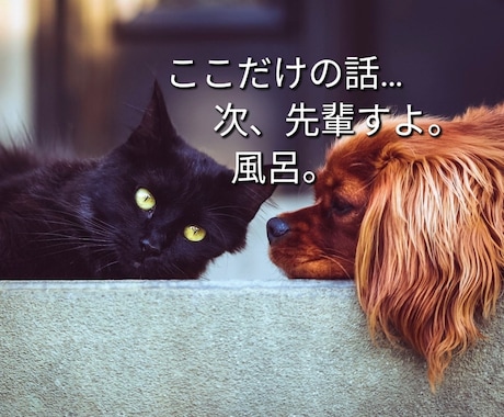 ちょっとだけ聞いて欲しい。話したい。聞きます 元気が無い時は無言でも大丈夫。同じ時間を過ごしましょう。 イメージ2