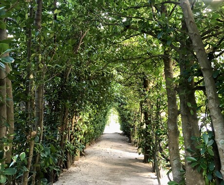 素敵な旅プランを選択いたします 国内限定(日帰り対応)であなたにあった旅プランを紹介します イメージ1