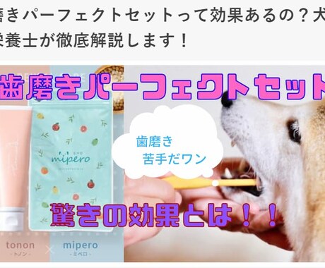 わかりやすく、読みやすいライティングします 「SEO × 読みやすさ」に特化したライティングいたします。 イメージ2