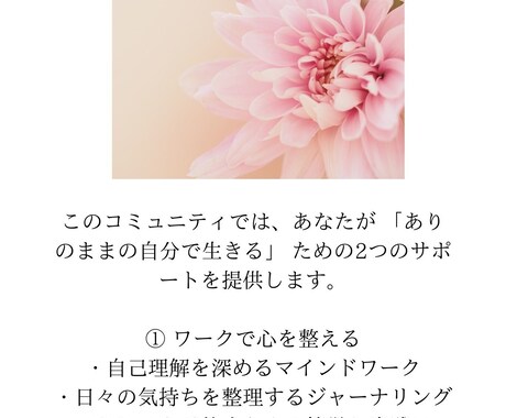 こだわるより、まず“出す”ためのLP制作します ヒアリングから1日で完成！早く出して反応が見たい方 イメージ1