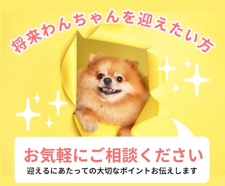 将来わんちゃんを迎えたい方、ご相談にのります ☆犬種？性別は？迎えるにあたっての大切なポイントお伝えします イメージ1