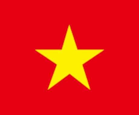 ベトナムにおけるビジネスの現地調査資料を作成します ベトナム在住のリサーチャーがビジネス情報をまとめます！ イメージ1