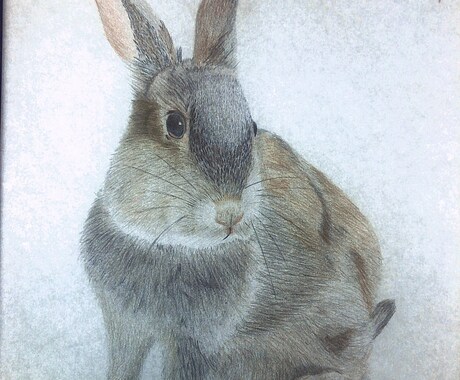 ペットや動物を色鉛筆でリアルに描きます ペットの思い出づくりにいかがですか？ イメージ2
