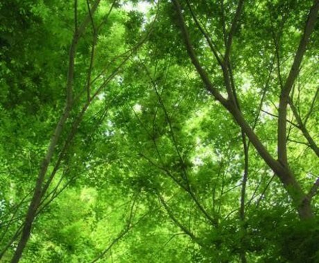 毒親との関係・お悩み聴きます もっと甘えたかったあなた、ほめて欲しかったあなたへ。 イメージ1