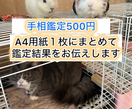 A4用紙手相鑑定で、過去〜現在〜未来を占いします 手相鑑定