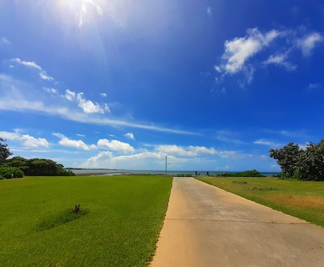 沖縄県総合運動公園の風景の写真を販売します 逆光に透過された葉の美、沖縄らしい植物等の写真 イメージ2