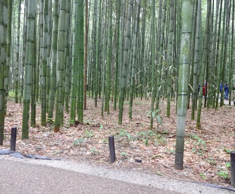 どんな文章も作成致します 何をどう書けばいいのかわからない！という方におすすめです！ イメージ1