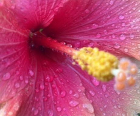 あなたのお悩み、不安に思っていること、お聴きします 直感を大切にしています☺︎その時浮かんだ言葉をお伝えします イメージ1