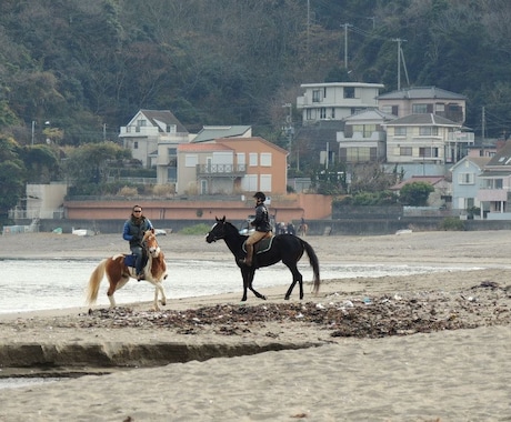 馬に乗りたい・馬と遊びたい方へ、あなたに合った乗り方や場所をアドバイスします（外乗情報も多数有） イメージ1