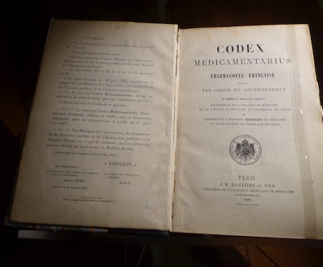 フランス語での研究手伝います フランス語での検索、図書館での調べ物、撮影、現地調査等 イメージ1