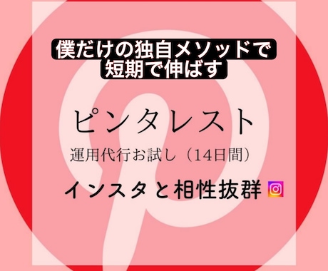 お試し！14日間ピンタレスト運用代行します ピンタレストでビジネス成長を加速！視覚的魅力を最大限に！！ イメージ1