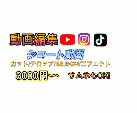 各種SNS！ショート動画編集します 満足して貰えるよう全力で作業します！ イメージ2