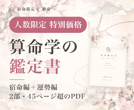 あと4名の特価で宿命鑑定書と12年の運勢を作ります イメージ1