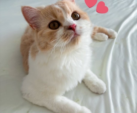 インナーチャイルドセラピーであなたを癒します アロマセラピストがあなたの子供時代に優しく寄り添います イメージ2