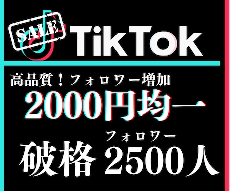 TikTokフォロワー【2500人】増やします 業績10まで最低価格！真心込めて！ イメージ1