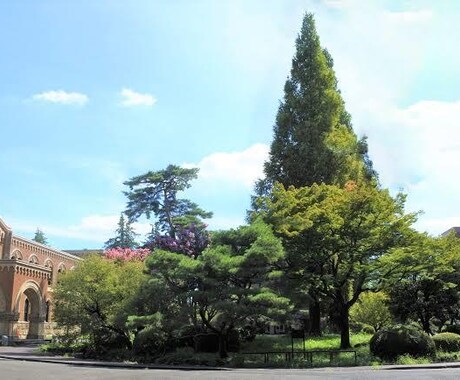 一橋合格者が法科大学院の受験に完全対応します 志望理由書・小論文・面接で問われる内容の添削を実施します。 イメージ1