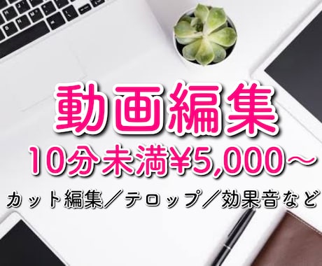 動画編集（カット・テロップ・BGM挿入等）承ります YouTuberさん大歓迎！ビジネス系エンタメ系などに対応 イメージ1