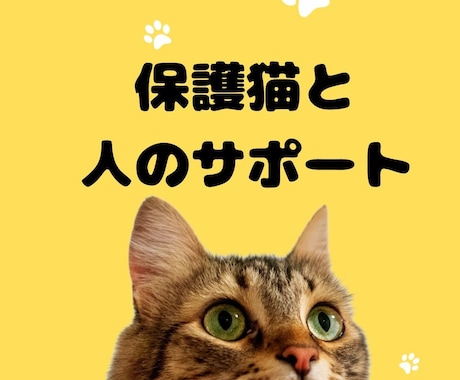 野良猫、保護猫の悩みに寄り添います あなたと猫の「いま必要な一歩」を一緒にみつけます。 イメージ1